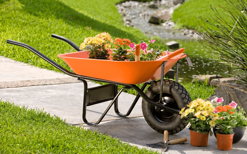 Gardening and Yard Care 