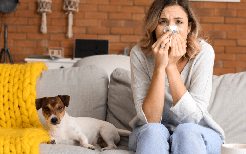 Allergies and Pet Safety