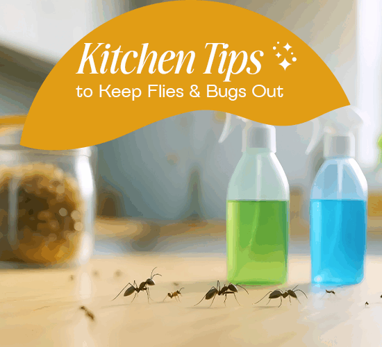13-June---Kitchen-Tips-to-keep-bugs-out