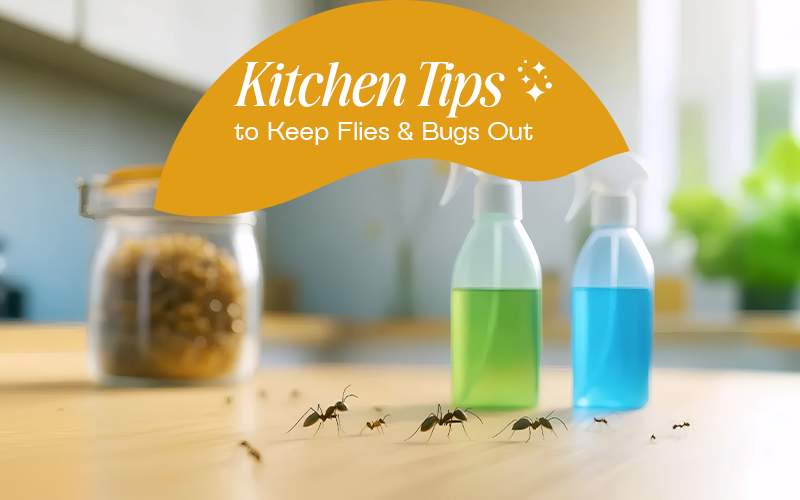 13-June---Kitchen-Tips-to-keep-bugs-out